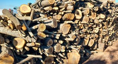 Legna secca di bosco