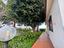Immagine 16