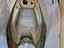 Immagine 5