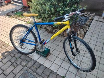 Mountain bike ragazzo