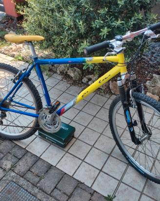 Mountain bike ragazzo
