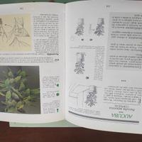 libri piante e giardinaggio 