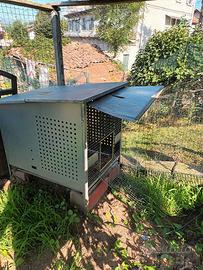 Pollaio Casetta per Circa 6/7 Polli