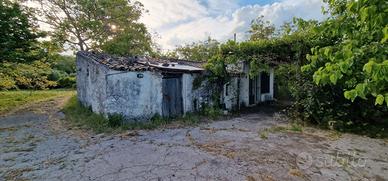 Fabbricati con terreno a Piedimonte Etneo