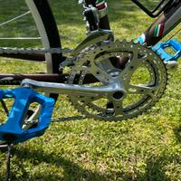Bici sportiva