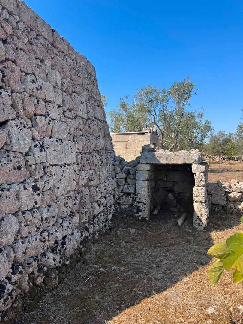 Terreno agricolo nel Salento - Vista 5