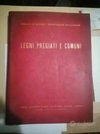 Libro-schedario "Legni Pregiati e Comuni"  1954