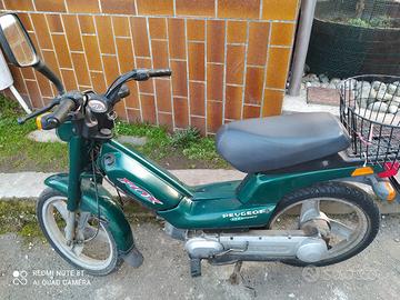 motorino Fox 50 scooter 