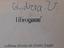 Immagine 3