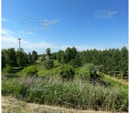 Terreno Agricolo Borgo Mantovano [A4276472]