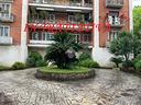 6-locali-a-roma