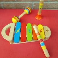 set strumenti musicali legno
