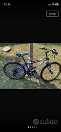 Bicicletta