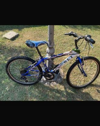 Bicicletta