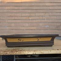 vaso bonsai rettangolare