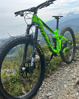 MTB Giant Reign