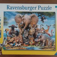 Puzzle 300 PZ Ravensburger