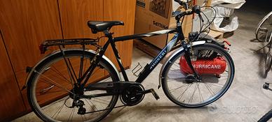 city bike da uomo