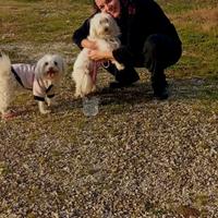 Personale ATA,segretaria,commessa ecc