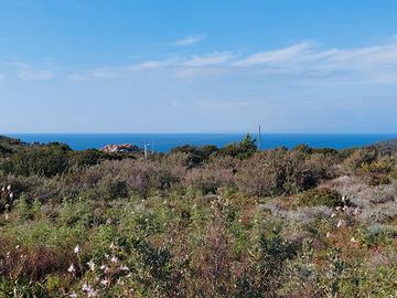 Terreno vista mare