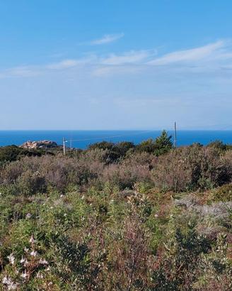 Terreno vista mare