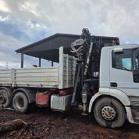 Camion con caricatore forestale