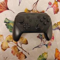 Pro controller 