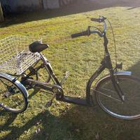 bicicletta tre ruote