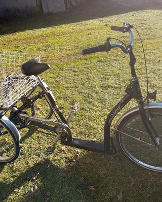 bicicletta tre ruote