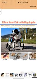 Carrello per cani disabili NUOVO