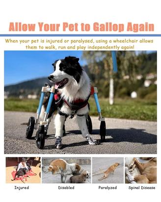 Carrello per cani disabili NUOVO