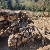 Legna secca di bosco