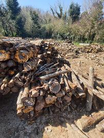 Legna secca di bosco