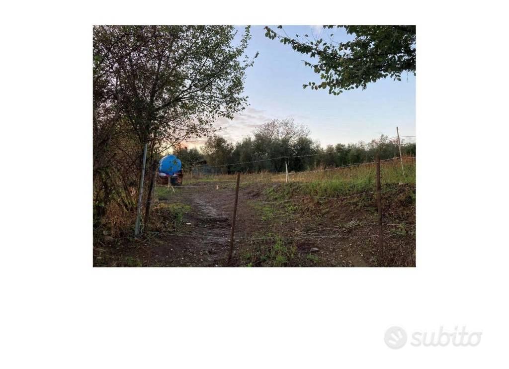 Immobile in asta di 12200 m² a Canino - Vista 3
