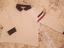 Immagine 5
