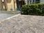 Immagine 7