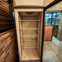 Vetrina congelatore 600l no frost