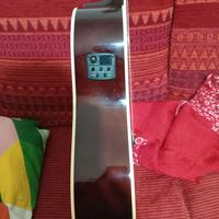 Acustica richwood master artist series