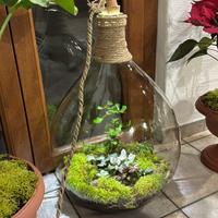 Realizzo terrarium personalizzati