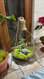 Realizzo terrarium personalizzati