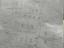 Immagine 19