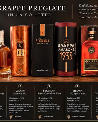lotto 5 Grappe - selezione - per intenditori