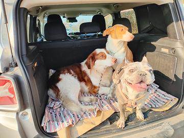 Dog Sitter/Pensione/commissioni