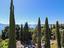 Immagine 29