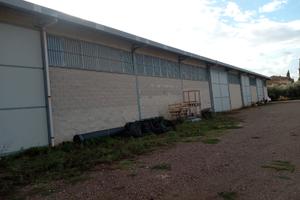 Capannone agricolo D10 con grande piazzale