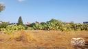 belpasso-terreno-agricolo-id-pbe049t