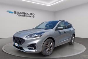 FORD Kuga 1.5 ecoblue ST-Line 2wd 120cv auto