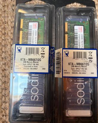 n.2 banchi ram per apple da 256MB per PC2