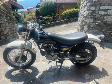 Suzuki V - Raptor 250