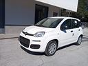 fiat-panda-1-0-firefly-s-s-hybrid-icon